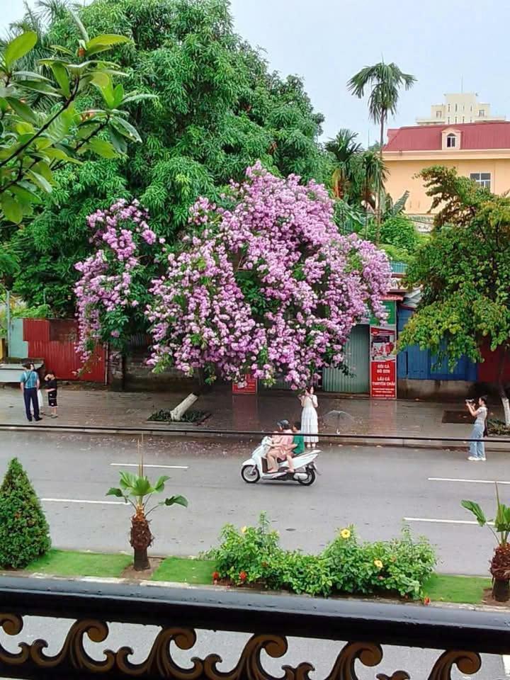Quang Minh Hotel Ðố Sơn Kültér fotó